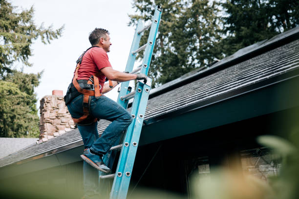 Best Roof Waterproofing  in Reedurban, OH